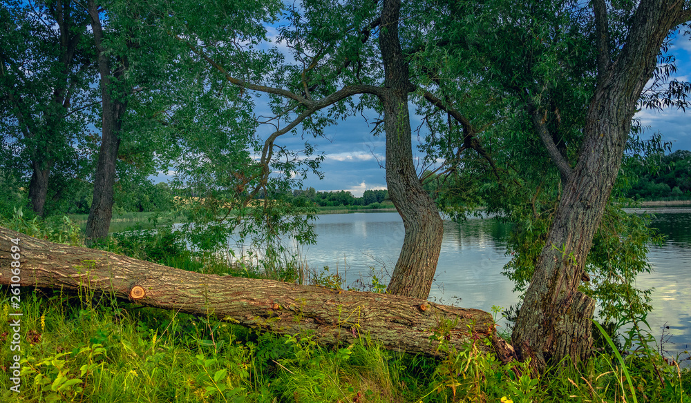 Morning on a river Morning on a river