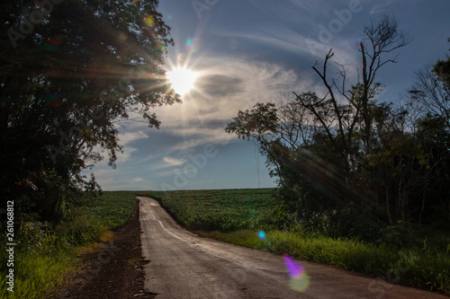 caminhos estradas paisagens e sol brilhando photo