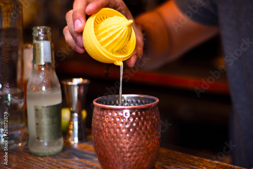 Canvas Print moscow mule