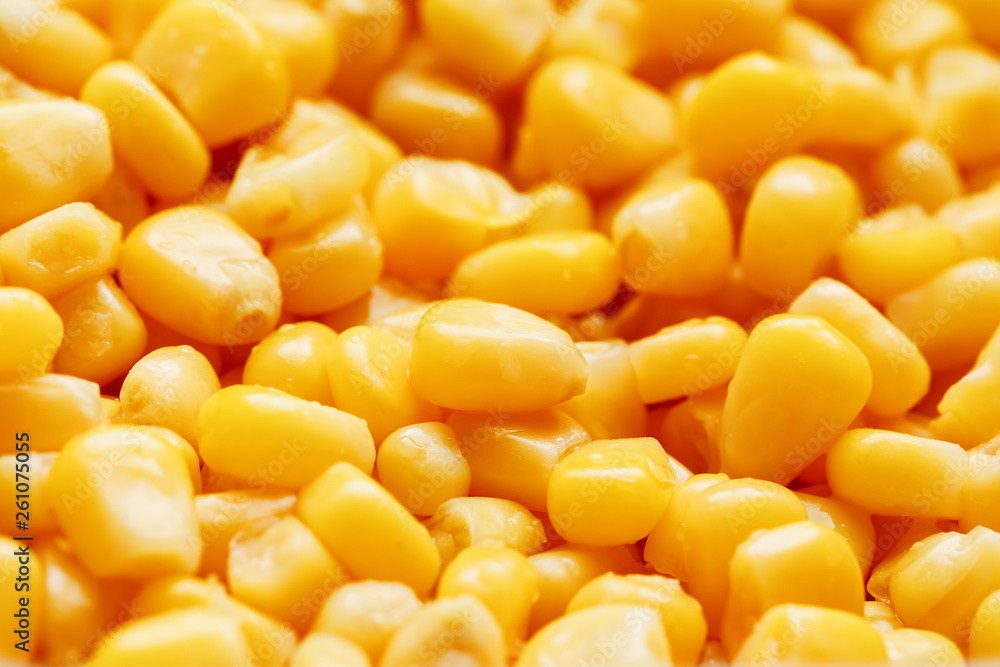 Golden canned corn, as distributed on a plane background and texture of popcorn. Before watching a movie top view. Close-up Golden canned corn, as distributed on a plane background and texture of popcorn. Before watching a movie top view. Close-up
