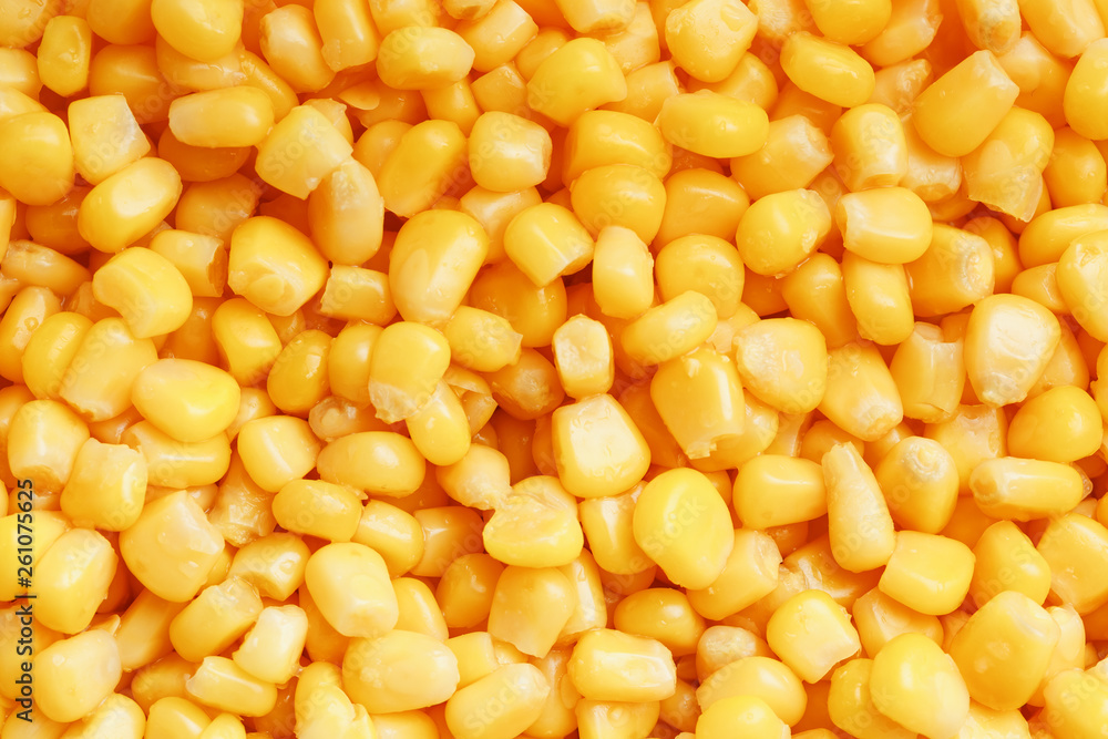 Golden canned corn, as distributed on a plane background and texture of popcorn. Before watching a movie top view. Close-up Golden canned corn, as distributed on a plane background and texture of popcorn. Before watching a movie top view. Close-up