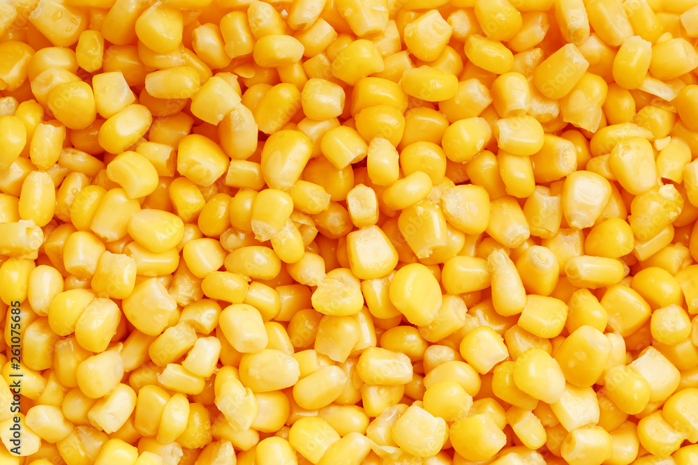 Golden canned corn, as distributed on a plane background and texture of popcorn. Before watching a movie top view. Close-up Golden canned corn, as distributed on a plane background and texture of popcorn. Before watching a movie top view. Close-up