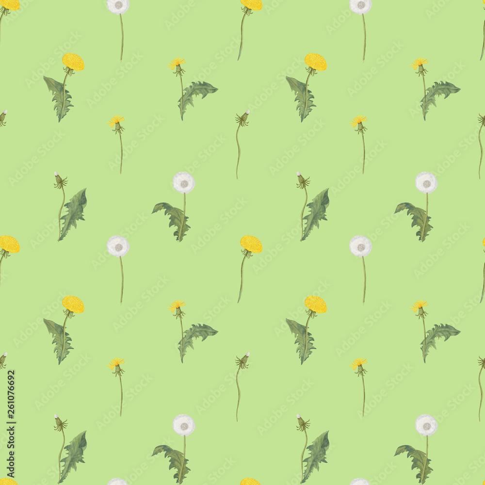 seamless pattern with flowers dandelion seamless pattern with flowers dandelion