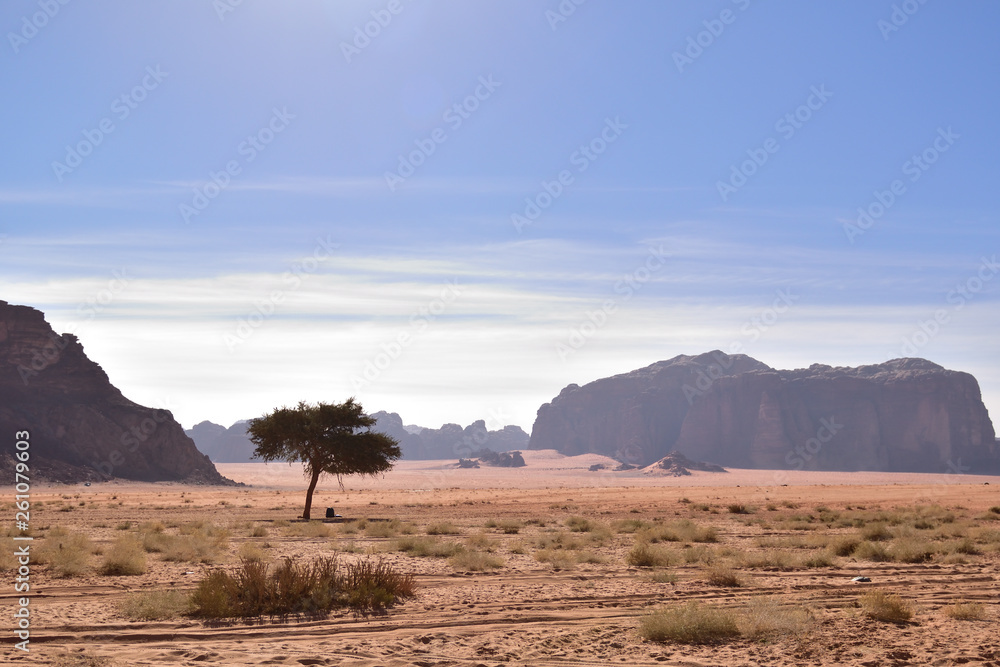 Naklejka premium Desert landscape traveling rose sand