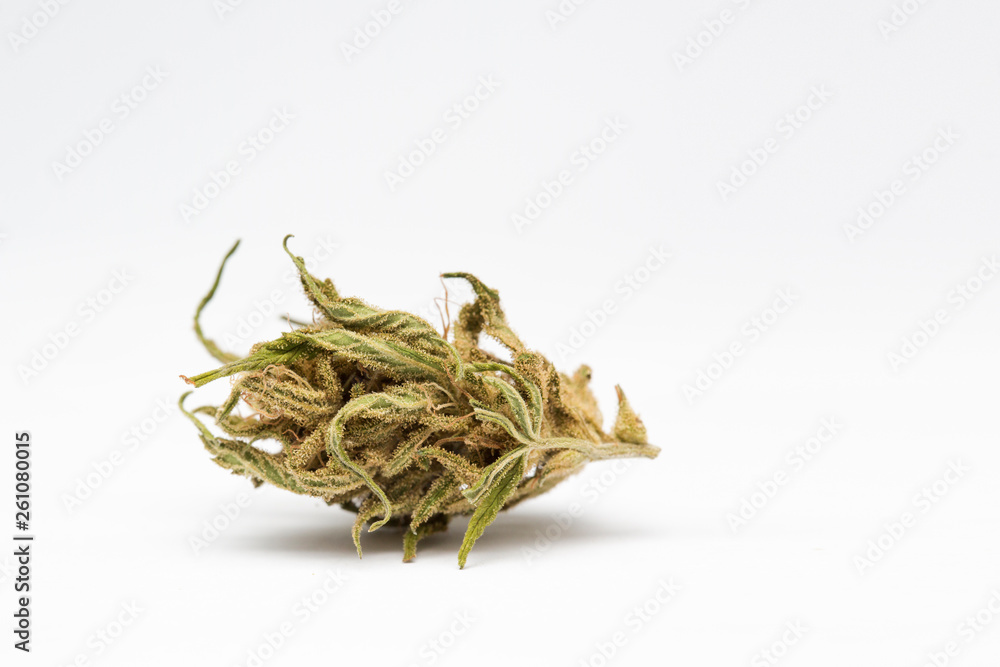Close up of and recreational medical CBD plant marijuana flower bud isolated on white background. Close up of and recreational medical CBD plant marijuana flower bud isolated on white background.