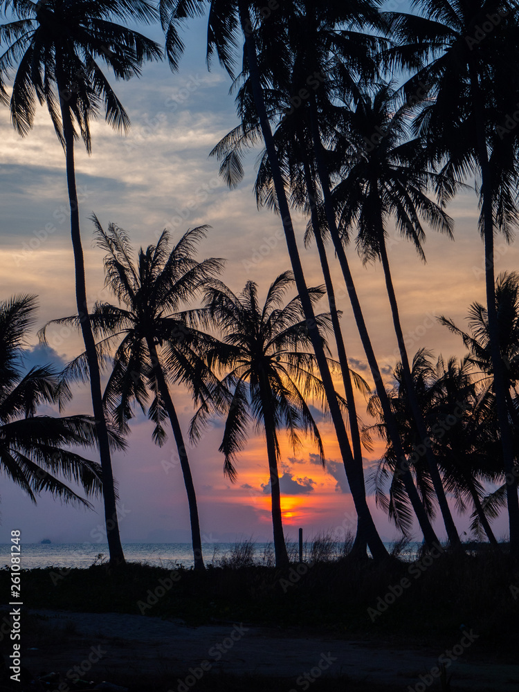 Silhouette of palm trees at sunset and multicolored clouds. Koh Phangan Thailand