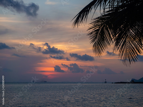 Silhouette of palm trees at sunset and multicolored clouds. Koh Phangan Thailand © alexkazachok