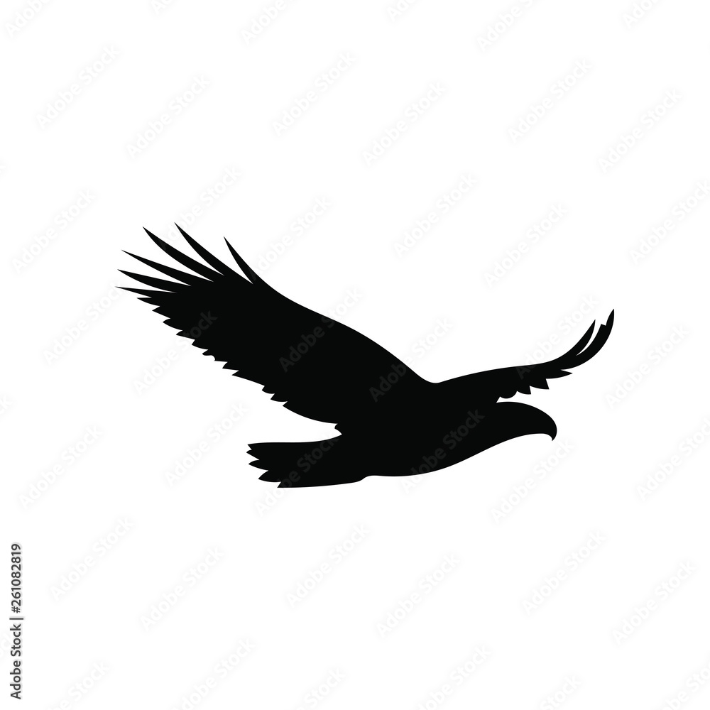 Bird Bird