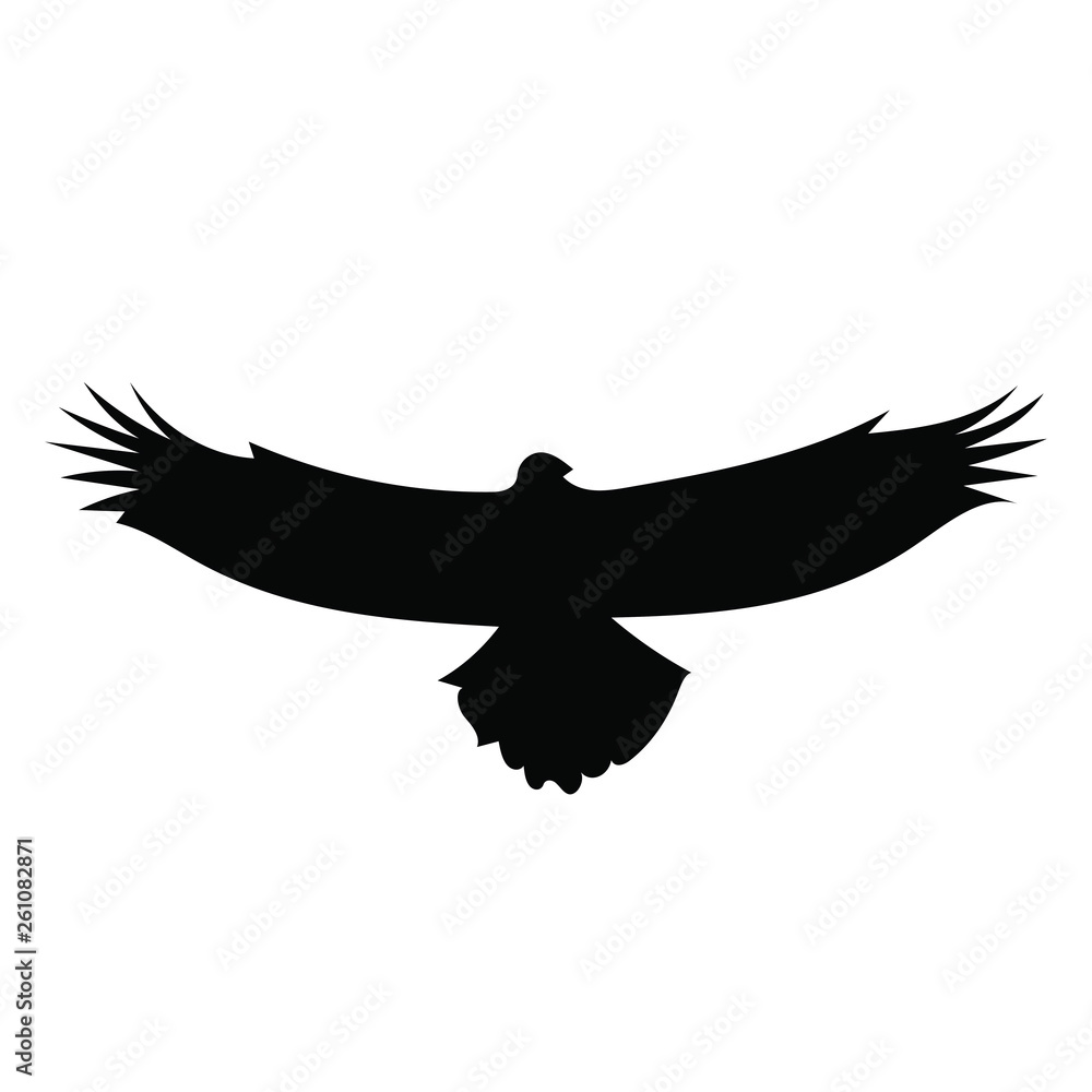 Bird Bird