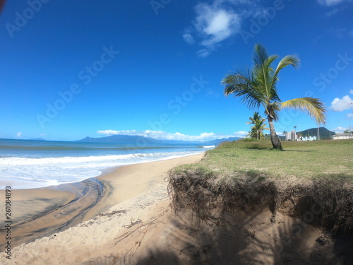 praia paisagem coqueiro c  u azul mar areia