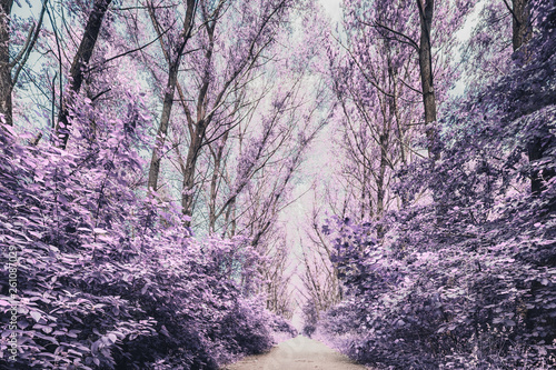 Infrared park alley