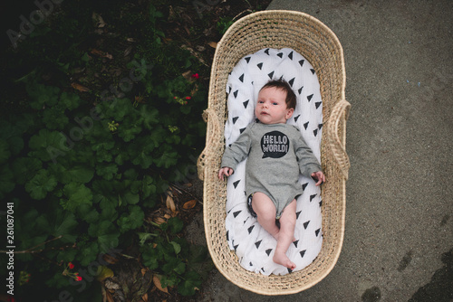 Baby boy lies in moses basket. photo