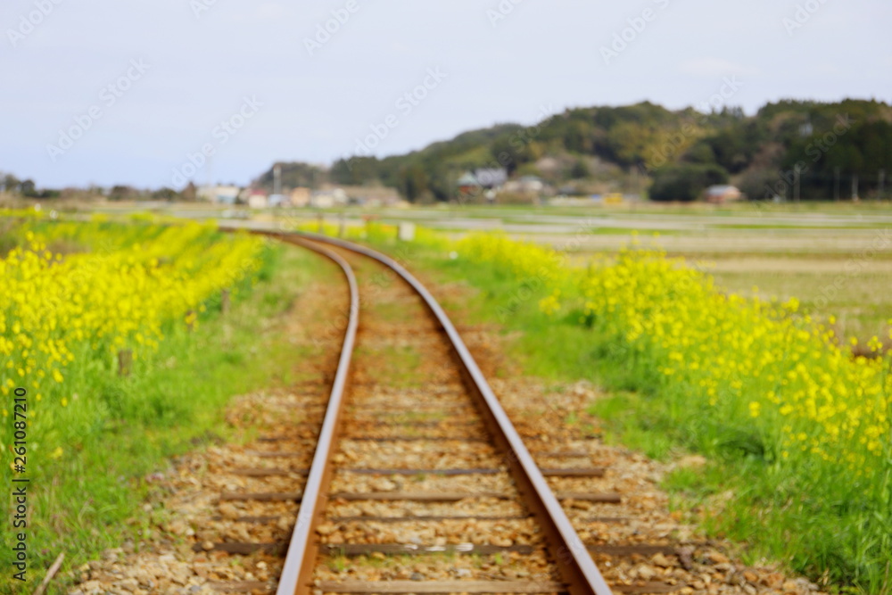 日本の千葉県いすみ市のいすみ鉄道