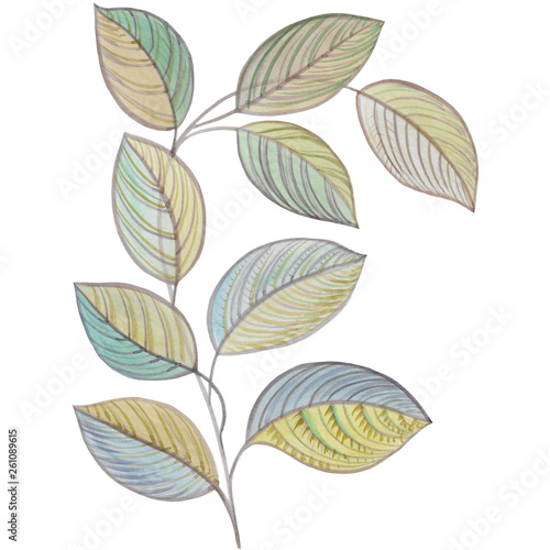 Watercolor painting leaves on a white background. Hand draw watercolor illustration. Design element. Elegant leaves for art design.