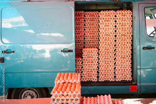 eggs in the van photo