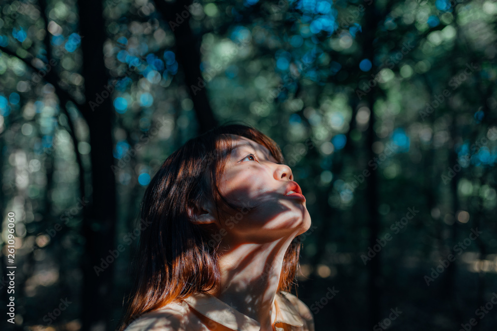 portrait of Asian woman in forest with dramatic light portrait of Asian woman in forest with dramatic light
