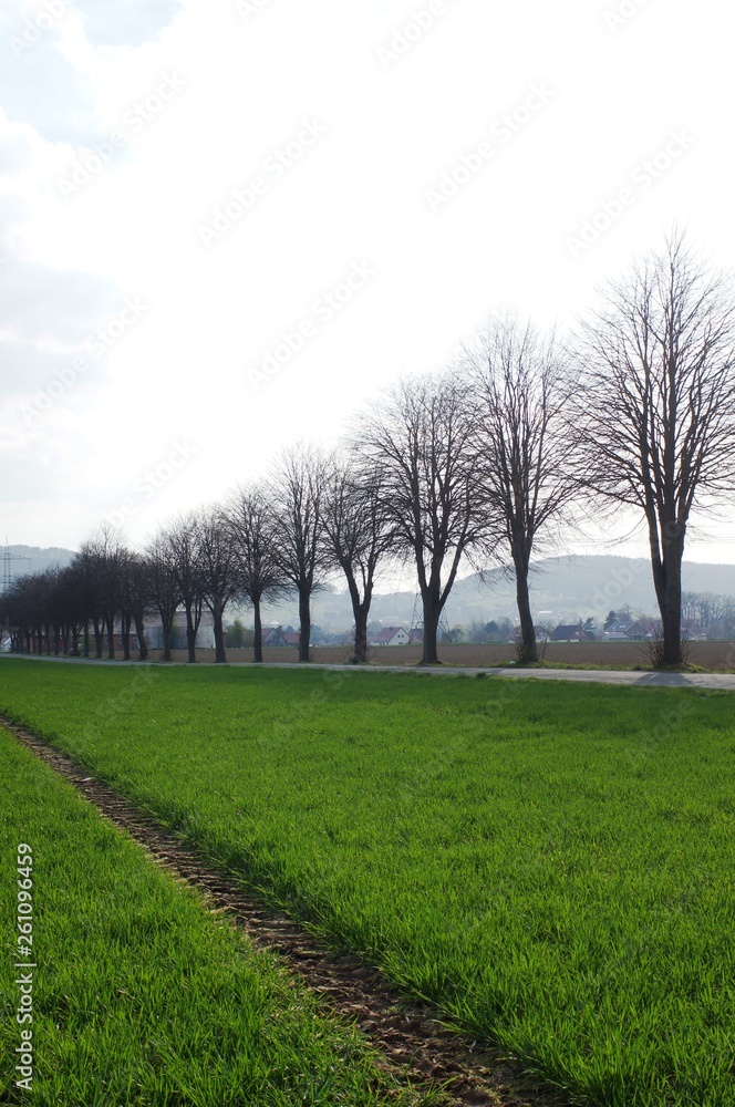 Wiehengebirge,landscape, field, sky, tree, nature, grass, spring, green, trees, meadow, blue, country, rural, countryside, road, summer, horizon, clouds, forest, agriculture, fog