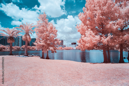 Lake Eola in Downtown Orlando, Florida