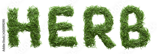 word herb is made from grass. Isolated on white background. Concept  design  title  text  nature