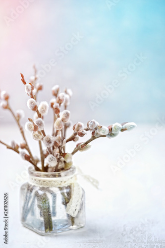 Beautiful willow in vase. Spring template, elegant artistic image. pussy willow on bright blurred background. romantic artistic image spring nature. Orthodox palm Sunday, bouquet of willow. 