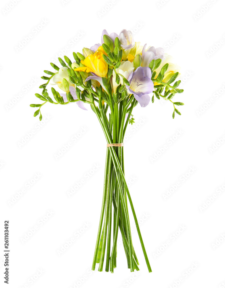 Bouquet of fresh freesia flowers isolated on white Bouquet of fresh freesia flowers isolated on white