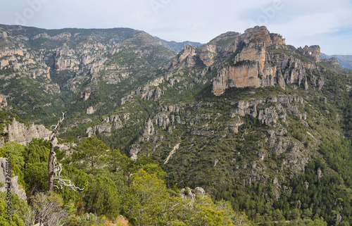 Natural Park of the "Tinenca de Benifassa" in the region of "Els Ports", Spain