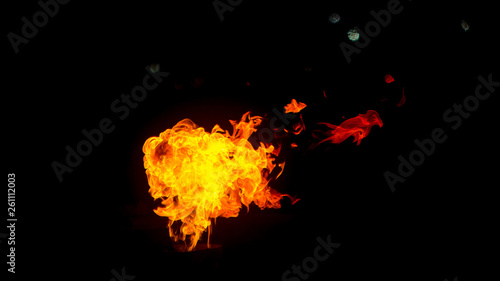 fire in the form of foxes and birds. Fire flames on black background. fire on black background isolated. fire patterns. © Yevgeniy