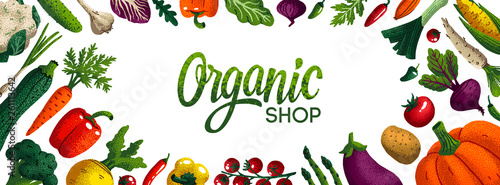 Wide horizontal organic shop background. Copy space. Variety of decorative vegetables with grain texture on white background. Farmers market, Organic food poster, cover or banner design. Vector.