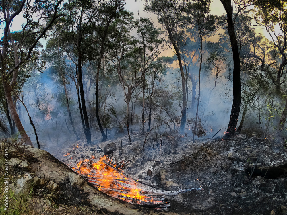 Organised Fire Service back burning to prevent bush fires in the mountains. Organised Fire Service back burning to prevent bush fires in the mountains.