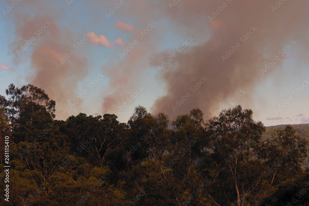 Fototapeta premium Organised Fire Service back burning to prevent bush fires in the mountains.
