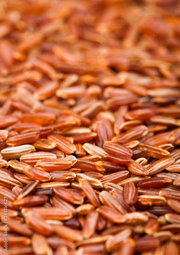 Fresh raw organic red rice on white background. Healthy food. Macro texture Fresh raw organic red rice on white background. Healthy food. Macro texture