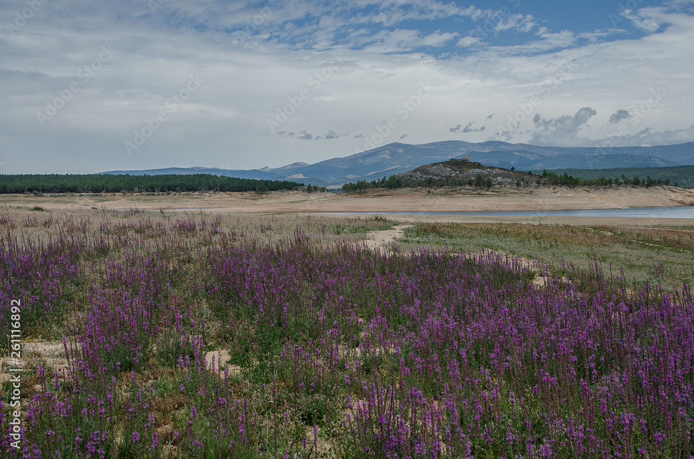 Fototapeta premium Swamp of Aguilar de Campoo in time of drought