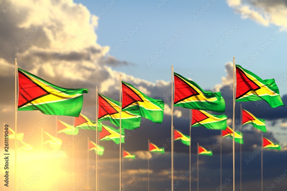 beautiful many Guyana flags on sunset placed in row with bokeh and place for text - any celebration flag 3d illustration.. beautiful many Guyana flags on sunset placed in row with bokeh and place for text - any celebration flag 3d illustration..