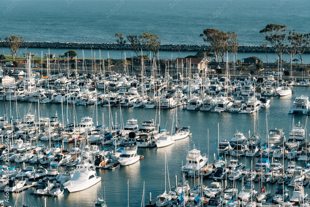 View of boats in a marina in the harbor, in Dana Point, Orange County, California