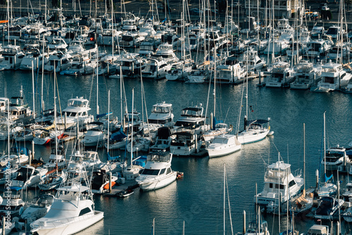 Bild auf Leinwand View of boats in a marina in the harbor, in Dana Point, Orange County, Californi