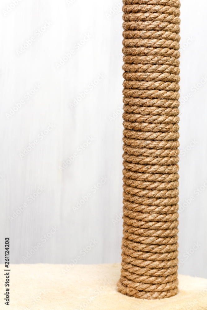 cat tree and furniture, sisal rope cat scratching post on beige carpet, copy space cat tree and furniture, sisal rope cat scratching post on beige carpet, copy space