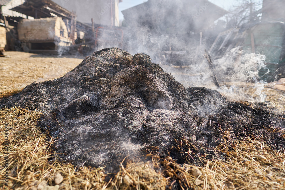 Obraz premium Spring cleaning fire