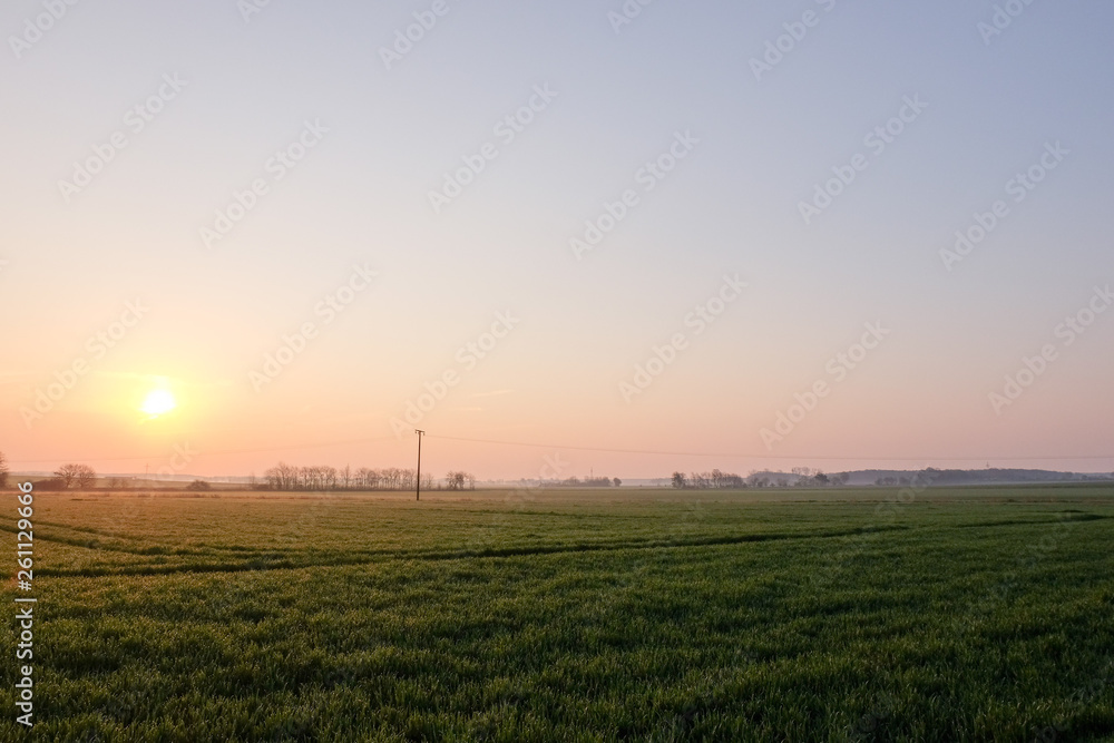 Sunrise over a green, foggy field