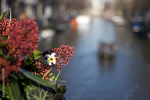 Flowers in AMS