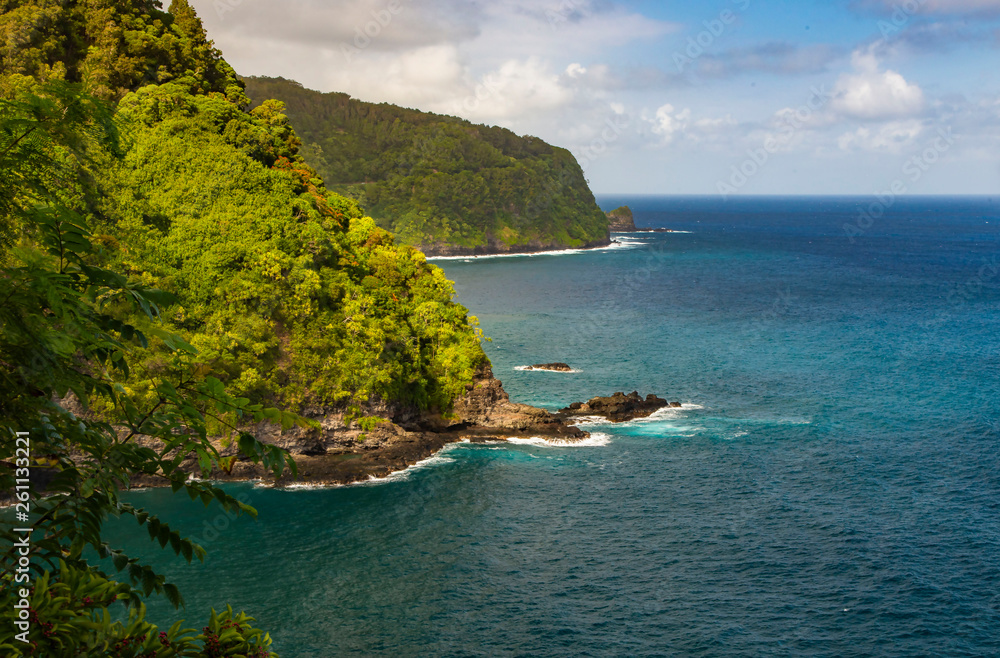 Fototapeta premium Maui Coatal # 2