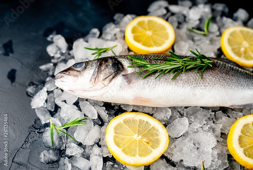 chilled raw sea bass fish with lemon and rosemary on ice near a stone
