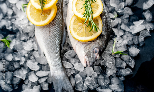 chilled raw sea bass and dorado fish with lemon and rosemary on ice, on a stone background
