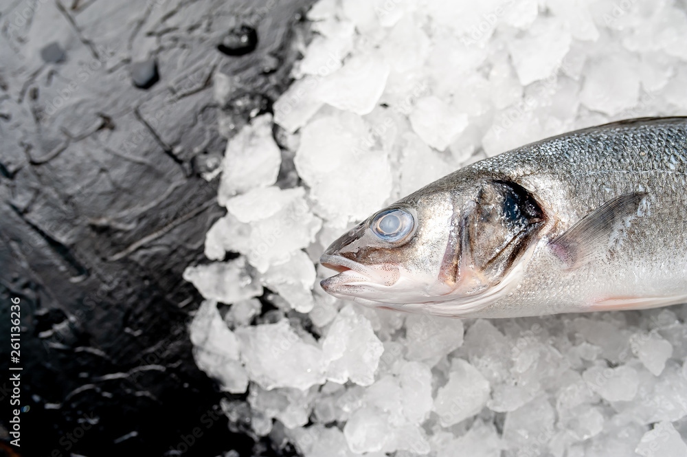 chilled raw sea bass fish on ice near a stone