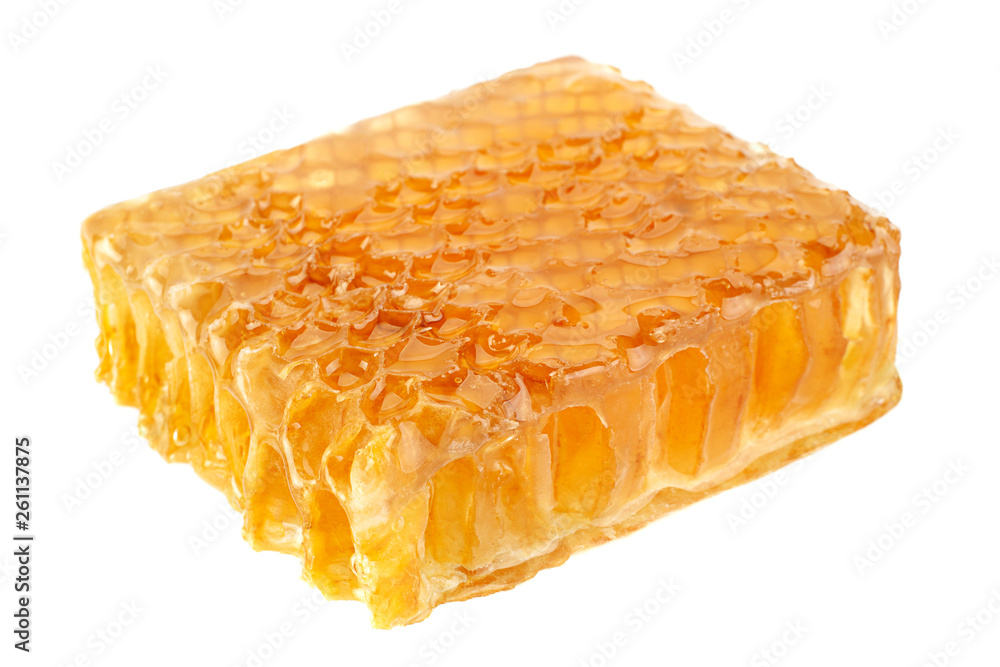 Yellow Honeycomb slice closeup Yellow Honeycomb slice closeup