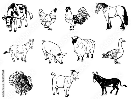 Fototapeta Naklejka Na Ścianę i Meble -  Vector illustration of farm animals in black and white