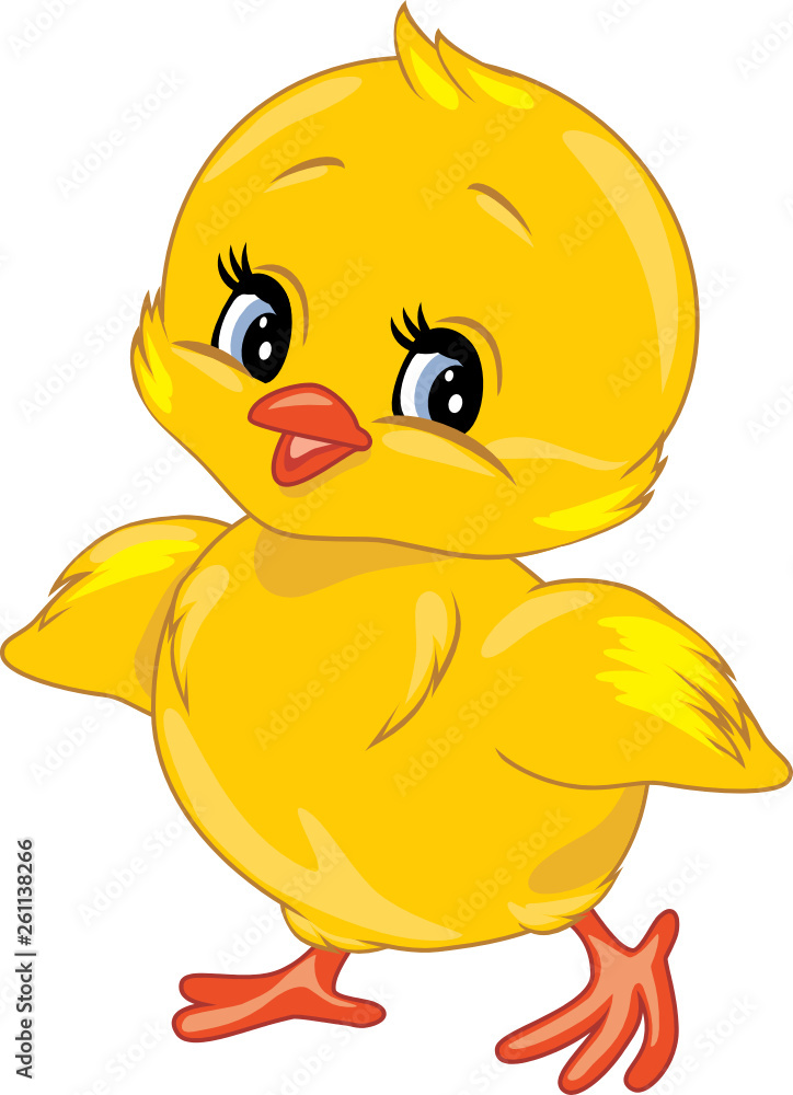 Cute smiling chick