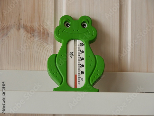 thermometer in the shape of a green frog photo