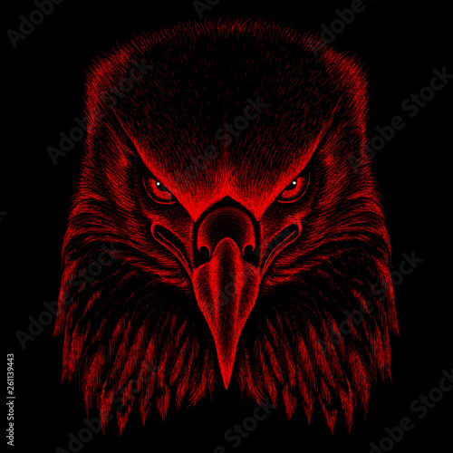 The Vector logo eagle for tattoo or T-shirt design or outwear.  Hunting style eagle background.