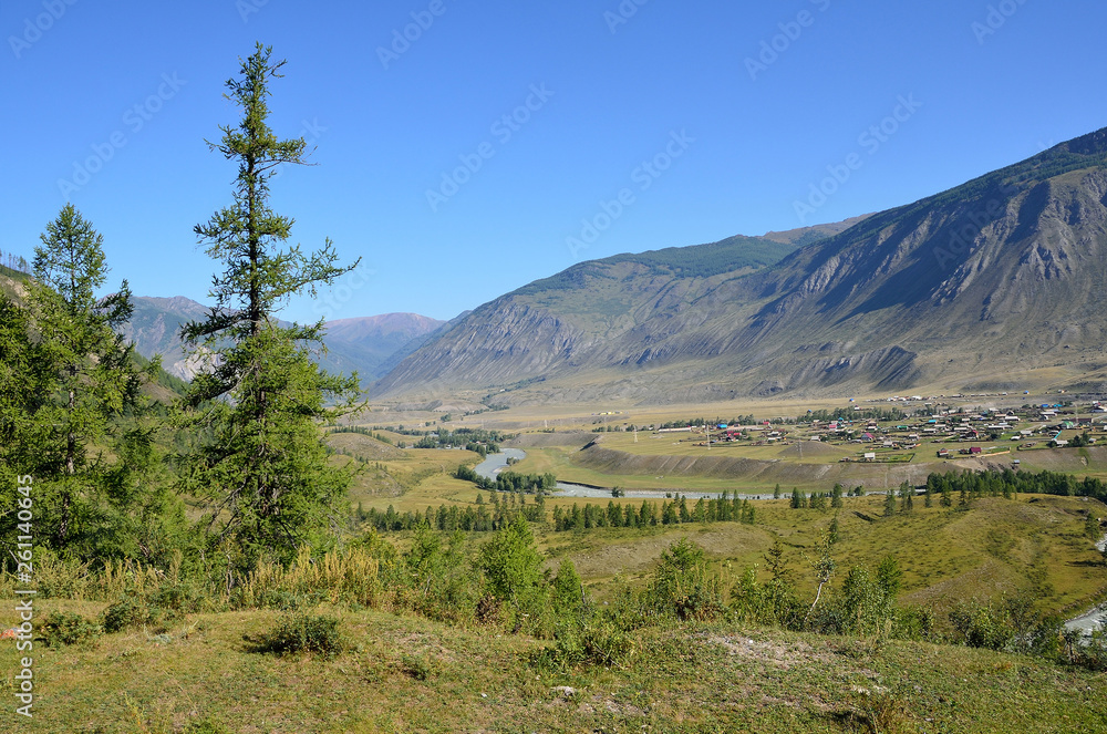 Fototapeta premium Altai mountains near Chibit village, Russia