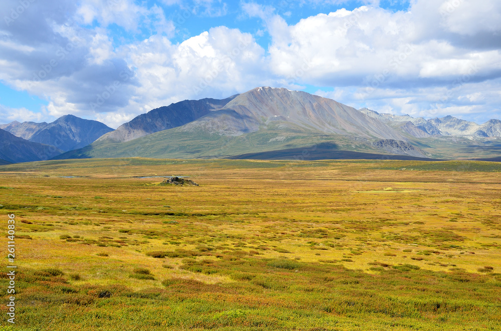 Fototapeta premium Russia, Republic of Altai, plateau Yoshtykyol in cloudy day